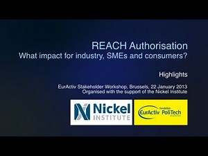 REACH Authorisation: What impact for industry, SMEs and consumers?