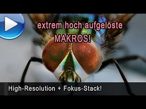 High-resolution and stacking / Macro photography