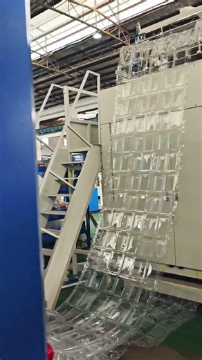 Grape Clamshell Box Production via 3-Station Thermoforming and Side Punching.Precise.High Efficiency