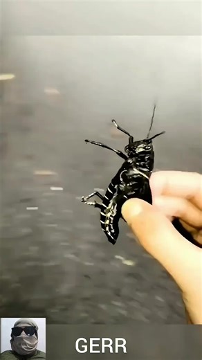 Top Scare Pranks to Make You Laugh