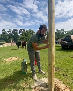 Chutes and ladders | Shirtless Jake's Homestead