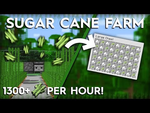 Minecraft Sugar Cane Farm - 1300 Per Hour - 1.20+