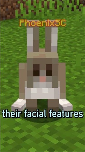 Rabbits be kinda weird now.