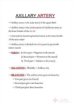 Axillary artery notes #anatomy ‪@medicalconcepts28‬