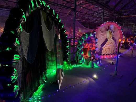 Canfield Pumpkin Walk quickly becoming a favorite October tradition