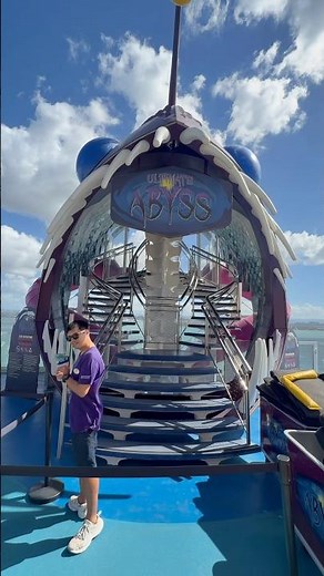 POV: You just survived the Ultimate Abyss on Oasis of the Seas 😳🛳️🔥