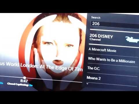 The wdjr team in miraculous world London at the edge of time epilogue scenes part 4