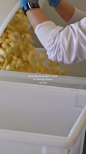 All the cheese you could ever dream of, all at one local cheese company ✨ Mozzarella, cheddar, havarti, halloumi, fresh cheese curds and more are all crafted right here at our shop from farm-fresh dairy milk from @creamlinefarms! From Dill Havarti and Smoked Garlic Gouda to Truffle Cheddar and Pesto Curds, each bite of our artisan cheese is one you'll never forget! ✨ Every part of the process is done by our incredible team with great care right here in the Walla Walla Valley and we wouldn't have