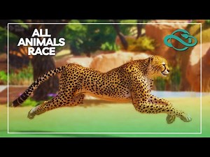 Planet Zoo (2025) All Animals Race Showcase
