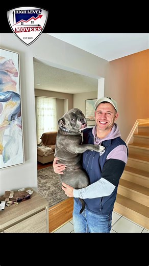 Looking for movers near me in Toronto? We handle apartments, houses, and offices — stress-free 📦 📍 Toronto & GTA 🔗 Book now: https://highlevelmovers.ca Hashtags: #HighLevelMovers #TorontoMovers #MoversNearMe #LocalMovers #TorontoMove