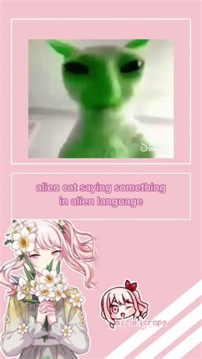 alien cat saying something in alien language #fyp #fypシ #cropped #mizukiakiyama #mizukicrops #projectsekai