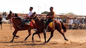 Reval Chal Visavada Horse Show 2022 - Kathiyawadi Horse - Sindhi Horse - Marwari Horse video #horses #horseriding | Indian Animals And Birds