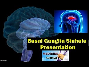 Basal Ganglia Anatomy Sinhala Presentation