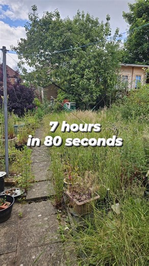 7 hour garden tidy in 80 seconds👨🏻‍🌾 ⚠️Flash Warning⚠️ This garden hadn't had much love for over a decade, and it was nice to see it restored to a manageable level for the client once again. What do you think they should do now in the garden?? I generally love reading your comments and suggestions (Follow me for more videos like this!!) Thanks, Tom #satisfying #beforeandafter #powerwashing #gardening #gardentimelapse #reels | The Garden Butler