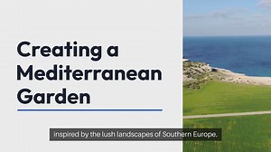 Mediterranean Garden Plants and Layouts