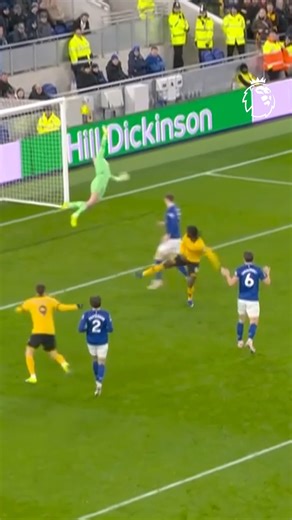 Jordan Pickford saves a point for Everton with a stunning stop from Hugo Bueno! 😲 | Premier League