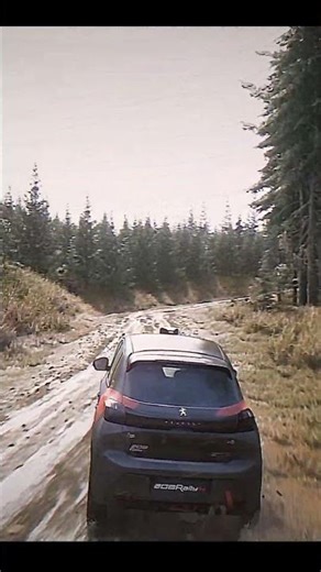 Assetto Corsa Rally Reshade preset VHS #automobile #racing #assettocorsa #rally #rallycar