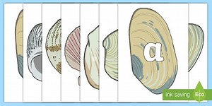 A-Z Alphabet on Sea Shells
