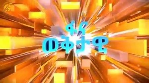 FBC (Fana Broadcasting Corporate S.C.) on Reels