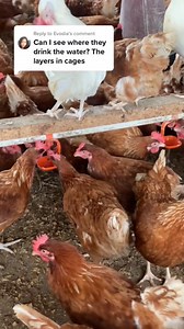 73K views · 534 reactions | Hope it answer your questions #answer #question #solutions | Living Agriculture Esene Matthew | Facebook