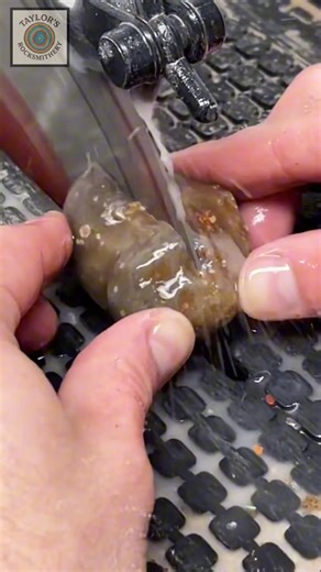 Cutting a Phenomenal Botswana agate! | Taylor’s Rocksmithery