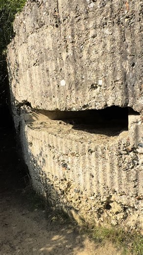 Exploring Hill 60: A Historic Battlefield Tour