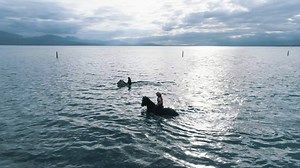 13K views · 382 reactions | Na, möchtet ihr gerne wissen, wie unsere Pferde ihre Freizeit verbringen? | Circus Knie | Facebook