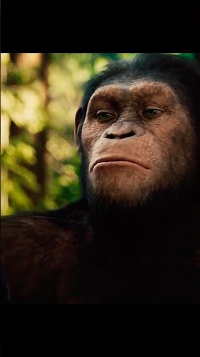 “Caesar Is Home” 🦍💔 The Heartbreaking Goodbye | Rise of the Planet of the Apes (2011)