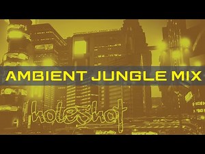 Ambient Jungle Mix 003 | Atmospheric Drum & Bass Mix | PlayStation Jazzy 90s DNB