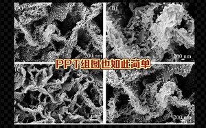 不需要PS，PPT就能给SEM加标尺bar，顺便组图。10分钟搞定！