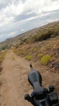 Rabbit hunt with .22lr rifle using bipod shooting stick - 50 yard long shot