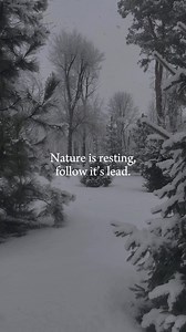 #fastgrowingtreesWishing you a restful end of 2025. ❄️🌲 #Fastgrowingtrees #wintergarden #plantdormancy #nature #gardening | Fast Growing Trees