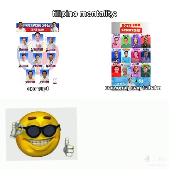 Funny Election Memes Featuring Risa Hontiveros