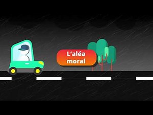 How do insurance and social protection contribute to risk management (...)?