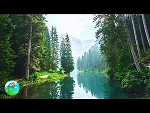 Muzică De Relaxare a Minții Pentru Concentrare, Studiu și Învățare Rapidă