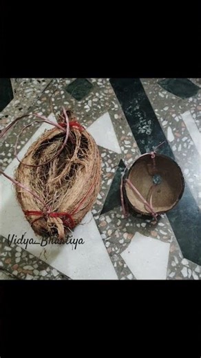 DIY Coconut Planter|Garden Decor| #gardening#diyprojects
