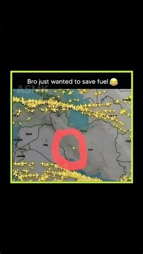 The Bravest Pilot in the World or Just Saving Fuel? ✈️⛽ #viral