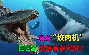 地球数一数二的远古巨兽，巨齿鲨到底有多可怕？能秒杀沧龙吗？