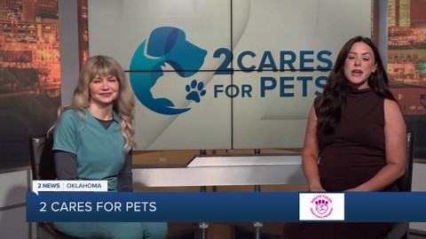 2 Cares for Pets Jewel