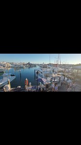 222 reactions · 13 comments | BOOK YOUR TRIPS.........ASAP #KEYWESTCHARTERBOAT #KEYWESTPARTYBOAT #KEYWESTSAILBOAT | FishMonster Key West | Facebook