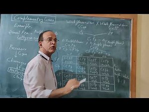 Class 12 Biology: Complementary Genes.