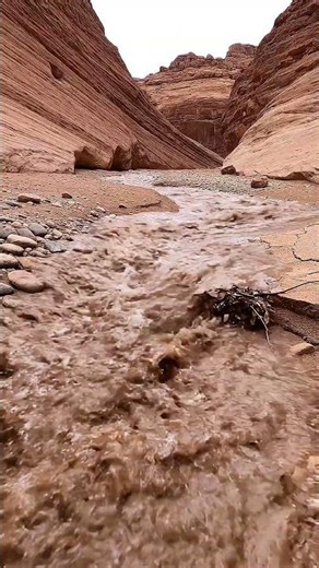 Familiar Echoes (Desert Arroyo)