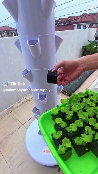 Hydroponic Tower for Easy Gardening at Home
