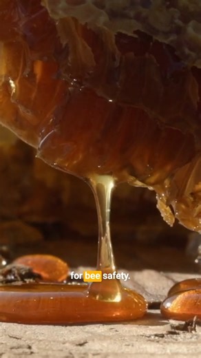 20K views · 71 reactions | Lance Davis AKA... the "Killer Bee...