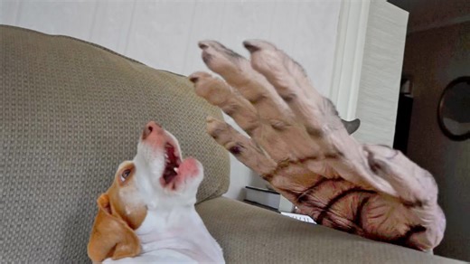 A dog braces himself against a giant zombie hand