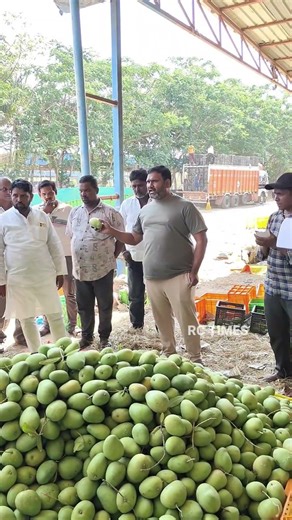 అనంతపురం కక్కలపల్లి మామిడి కాయలు మార్కెట్ లో వేలం పాట