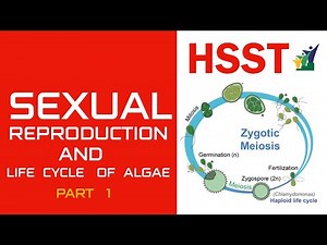 SEXUAL REPRODUCTION AND LIFE CYCLE OF ALGAE PART 1