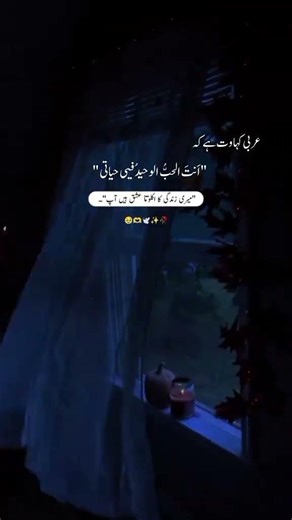 Allhamdulla ❤️‍🩹Z❤️‍🩹