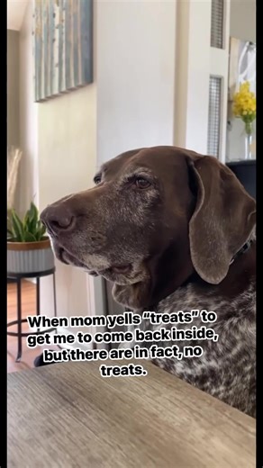 Language I can't be alone here