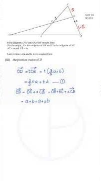 Finding the position vector #igcse #maths #edexcel #olevel